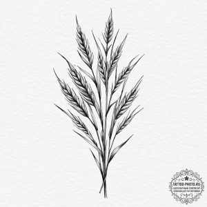 Tattoo sketch a simple, elegant wheat stalk,... - эскиз тату (№1751848544_0, 07.07.2025 00:35) — tattoo-photo.ru
