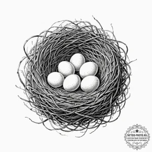 A bird's nest with small, speckled eggs., con... - эскиз тату (№1751872625_0, 07.07.2025 07:17) — tattoo-photo.ru