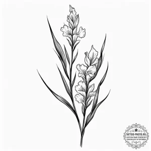 Gladiolus, concept art for tattoo, on a clean... - эскиз тату (№1751900846_0, 07.07.2025 15:07) — tattoo-photo.ru