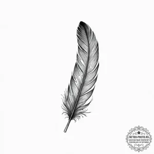 A single raven feather, ink illustration for... - эскиз тату (№1752016886_0, 08.07.2025 23:21) — tattoo-photo.ru