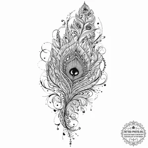 Peacock feather, tattoo flash sheet design, o... - эскиз тату (№1752021828_0, 09.07.2025 00:43) — tattoo-photo.ru