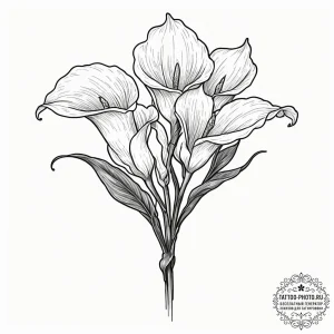 Calla lilies, concept art for tattoo, linewor... - эскиз тату (№1752182246_0, 10.07.2025 21:17) — tattoo-photo.ru