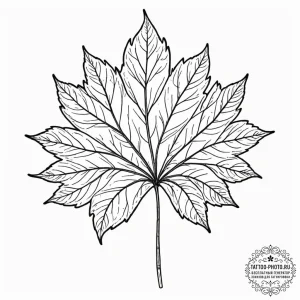 Tattoo sketch a delicate network of veins on... - эскиз тату (№1752298208_0, 12.07.2025 05:30) — tattoo-photo.ru