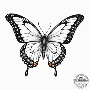 Tattoo sketch a butterfly whose wings are sta... - эскиз тату (№1752314241_0, 12.07.2025 09:57) — tattoo-photo.ru