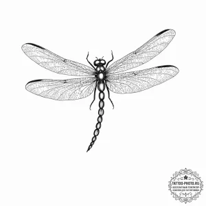 Tattoo sketch, quantum leap dragonfly, a deli... - эскиз тату (№1752403623_0, 13.07.2025 10:47) — tattoo-photo.ru