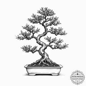 Bonsai, tattoo line art, fine lines, delicate... - эскиз тату (№1752557675_0, 15.07.2025 05:34) — tattoo-photo.ru