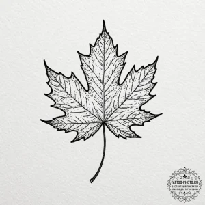 Maple leaf, tattoo flash sheet design, dotwor... - эскиз тату (№1752563904_0, 15.07.2025 07:18) — tattoo-photo.ru