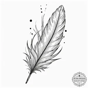 Feather, tattoo flash sheet design, rough ske... - эскиз тату (№1752588908_0, 15.07.2025 14:15) — tattoo-photo.ru