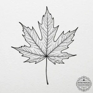 Maple, concept art for tattoo, fine lines, de... - эскиз тату (№1752591299_0, 15.07.2025 14:54) — tattoo-photo.ru