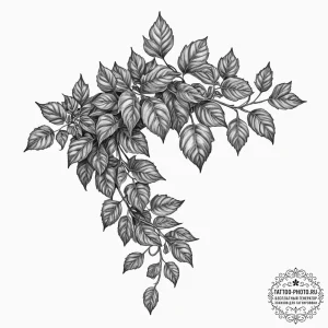 Tattoo design a climbing ivy branch, symboliz... - эскиз тату (№1752794950_0, 17.07.2025 23:29) — tattoo-photo.ru