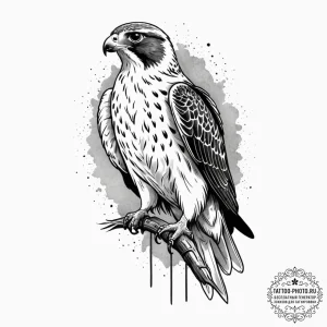 Falcon, artistic tattoo sketch, on a clean wh... - эскиз тату (№1752857274_0, 18.07.2025 16:47) — tattoo-photo.ru