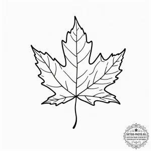 Maple leaf, tattoo sketch design, black outli... - эскиз тату (№1752941883_0, 19.07.2025 16:18) — tattoo-photo.ru