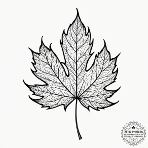 The intricate, vein-like patterns of a dried... - эскиз тату (№1752983315_0, 20.07.2025 03:48) — tattoo-photo.ru
