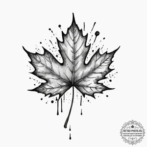 Maple leaf, tattoo flash sheet design, black... - эскиз тату (№1753068821_0, 21.07.2025 03:33) — tattoo-photo.ru