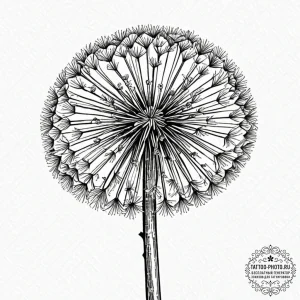 A detailed macro shot of a dandelion seed hea... - эскиз тату (№1753205525_0, 22.07.2025 17:32) — tattoo-photo.ru