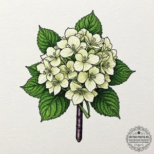 Hydrangea, tattoo line art, on a clean white... - эскиз тату (№1753244847_0, 23.07.2025 04:27) — tattoo-photo.ru