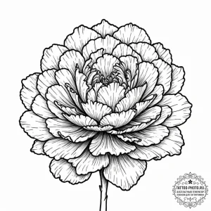 Carnation, tattoo line art, dotwork shading,... - эскиз тату (№1753320039_0, 24.07.2025 01:20) — tattoo-photo.ru