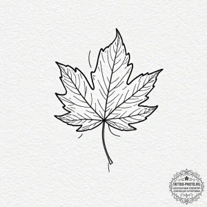 Tattoo design a single, falling autumn leaf w... - эскиз тату (№1753402104_0, 25.07.2025 00:08) — tattoo-photo.ru