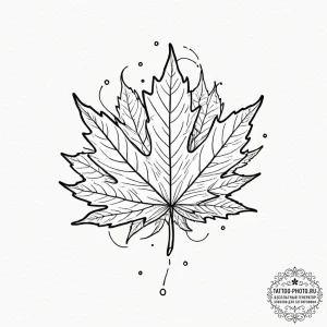 Maple, tattoo flash sheet design, fine lines,... - эскиз тату (№1753503933_0, 26.07.2025 04:25) — tattoo-photo.ru