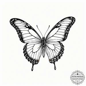A detailed macro shot of a butterfly's wing.,... - эскиз тату (№1753578012_0, 27.07.2025 01:00) — tattoo-photo.ru