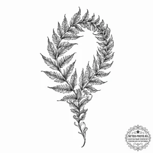 Tattoo sketch a single fern leaf unfurling fr... - эскиз тату (№1753703842_0, 28.07.2025 11:57) — tattoo-photo.ru