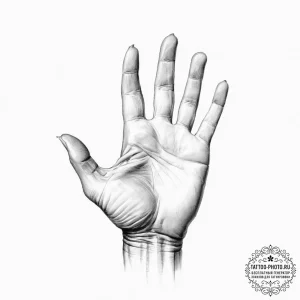 Tattoo sketch a human hand with calloused, ro... - эскиз тату (№1753892336_0, 30.07.2025 16:18) — tattoo-photo.ru