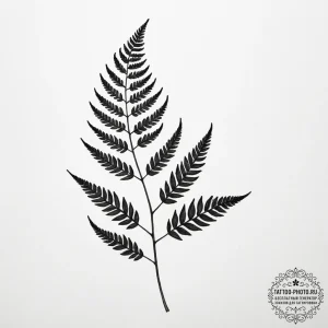 Tattoo design a single fern leaf, symbolizing... - эскиз тату (№1754614631_0, 08.08.2025 00:57) — tattoo-photo.ru