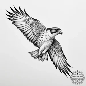 Tattoo sketch a swift falcon or hawk, for pre... - эскиз тату (№1755097555_0, 13.08.2025 15:05) — tattoo-photo.ru