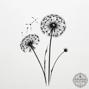 Dandelion - эскиз тату (№1755131653_0, 14.08.2025 00:34) — tattoo-photo.ru