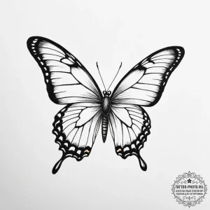 Butterfly, ink illustration for tattoo, clean... - эскиз тату (№1755352234_0, 16.08.2025 13:50) — tattoo-photo.ru