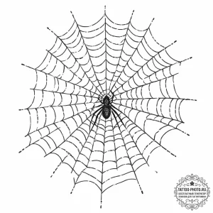 A close-up of a dew-covered spiderweb. - эскиз тату (№1755504335_0, 18.08.2025 08:05) — tattoo-photo.ru