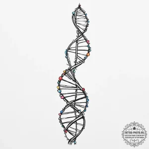 Dna helix, tattoo sketch design, on a clean w... - эскиз тату (№1755652345_0, 20.08.2025 01:12) — tattoo-photo.ru