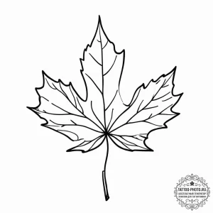 Maple leaf, tattoo drawing outline, black out... - эскиз тату (№1755655633_0, 20.08.2025 02:07) — tattoo-photo.ru