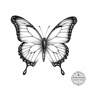 Butterfly - эскиз тату (№1755728247_0, 20.08.2025 22:17) — tattoo-photo.ru