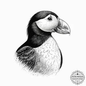 Tattoo sketch tufted puffin, tattoo drawing o... - эскиз тату (№1755903216_0, 22.08.2025 22:53) — tattoo-photo.ru