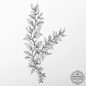 Tattoo sketch ivy vine, tattoo drawing outlin... - эскиз тату (№1755948453_0, 23.08.2025 11:27) — tattoo-photo.ru