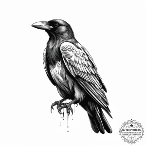 Tattoo sketch soldier with a raven, ink illus... - эскиз тату (№1756002357_0, 24.08.2025 02:25) — tattoo-photo.ru