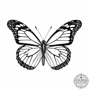 Tattoo sketch monarch butterfly - эскиз тату (№1756010627_0, 24.08.2025 04:43) — tattoo-photo.ru