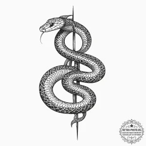 Tattoo sketch морская змея, ink illustration... - эскиз тату (№1756117359_0, 25.08.2025 10:22) — tattoo-photo.ru