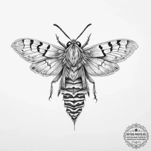 Tattoo sketch bagworm moth - эскиз тату (№1756208389_0, 26.08.2025 11:39) — tattoo-photo.ru