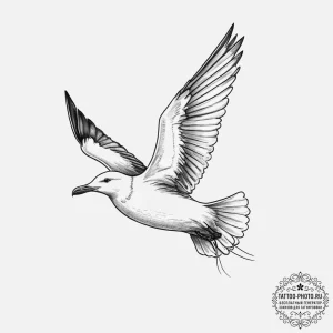 Tattoo sketch puns a seagull that says "i'm a... - эскиз тату (№1756278825_0, 27.08.2025 07:13) — tattoo-photo.ru