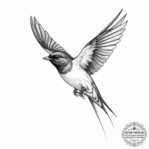 Tattoo sketch cliff swallow, concept art for... - эскиз тату (№1756310678_0, 27.08.2025 16:04) — tattoo-photo.ru