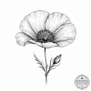 Tattoo sketch california poppy, tattoo drawin... - эскиз тату (№1756332025_0, 27.08.2025 22:00) — tattoo-photo.ru