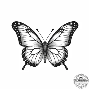 Tattoo sketch butterfly on a nose, ink illust... - эскиз тату (№1756392500_0, 28.08.2025 14:48) — tattoo-photo.ru