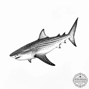 Tattoo sketch whale shark - эскиз тату (№1756479157_0, 29.08.2025 14:52) — tattoo-photo.ru