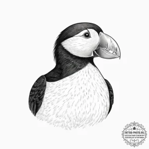 Tattoo sketch tufted puffin, tattoo line art,... - эскиз тату (№1756484684_0, 29.08.2025 16:24) — tattoo-photo.ru