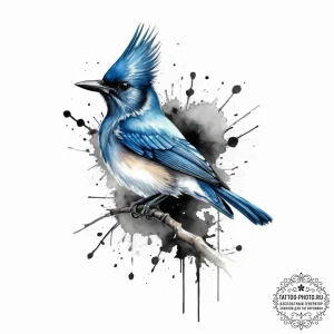 Tattoo sketch stellar's jay, tattoo flash she... - эскиз тату (№1756625282_0, 31.08.2025 07:28) — tattoo-photo.ru