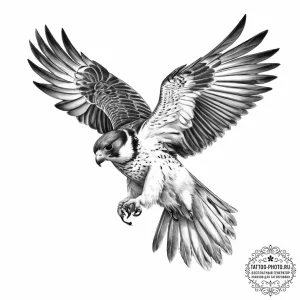 Tattoo sketch peregrine falcon - эскиз тату (№1756651346_0, 31.08.2025 14:42) — tattoo-photo.ru