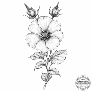 Tattoo sketch hollyhock - эскиз тату (№1756668354_0, 31.08.2025 19:25) — tattoo-photo.ru