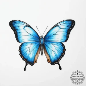 Tattoo sketch blue morpho butterfly - эскиз тату (№1756942524_0, 03.09.2025 23:35) — tattoo-photo.ru